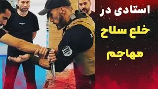 Master of Disarmament  استادی در خلع سلاح مهاجم 