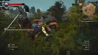 Death March Difficulty! Wild Hunt. The Witcher 3 PS5 Upgraded edition. New content!!!!