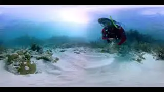 SNUBA Key West VR 360 Series, Sandkey