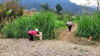 Builds Paved Path Leading to House, Cruel Woman Comes to Search for Her Son