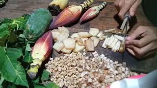 Natural Chicken Feed Mix | Farm Life in the Countryside &mdash; Papaya, Banana Blossom & More!