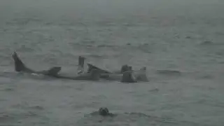 Stranding Weekend Wellfleet Bay Cruise