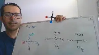 05. Estructuras de Fischer 01