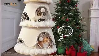 PAWZ Road Christmas Cat Tree for Indoor Cats Green / Beige (AMT0260GN / WE)