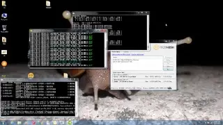 BTC Mining With Nicehash using GTX 1070