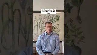 Dr. Plant Moringa Oliefera