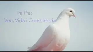 Bon Nadal i Feli&ccedil; 2024