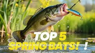 Top 5 Spring Bass Baits 🌸🎣 (Catch Big Pre-Spawn Bass)