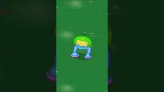 Scups: Water Island