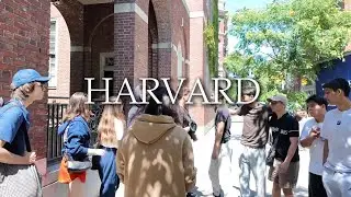 🎓 Обзор Гарварда с Венерой Байжигит | Как поступить и кого ищет Harvard?