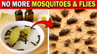 Mosquito Killer Homemade | Kill Flies In Minutes With This One Ingredient