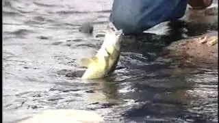 North American Fishing Club: Fishing and Reading Rivers Part 2