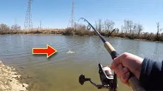 EXPERIENCE the CARP Fight (Carp Fishing Delaware)