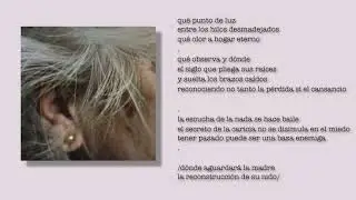 Calendario de ra&iacute;ces - El siglo pliega ra&iacute;ces