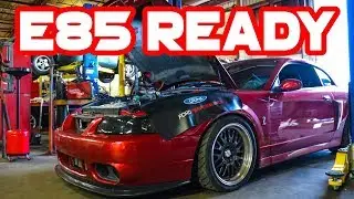 700+ RWHP E85 Cobra Terminator Build: Fuel - FIC1000 + Lethal Fuel System