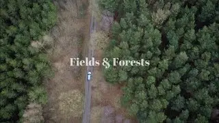 Fields & Forests | North Lincolnshire, UK 🌲