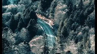 Folk Country Instrumental Beat [No Copyright Sound] [ FREE USE MUSIC ] - Vlad Gluschenko - Forest