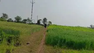 Jayesh boygar #cricket #funny #comedy #vlog #villagelife 
