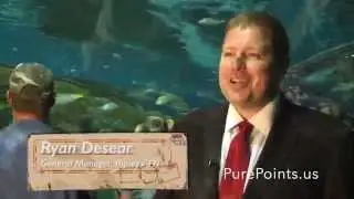 Pure Points RCI Gatlinburg