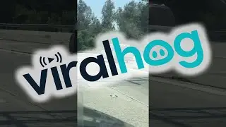 Wheel Rolls Along Freeway After Falling Off SUV || ViralHog