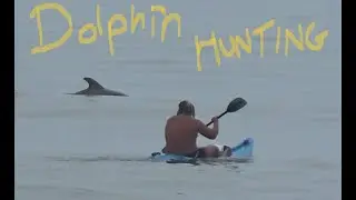 Dolphin Hunting in Sea Isle Early June Small waves Ackless Kayak Surfing with bonus Chest Day Doms