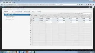 SAP BPC - Consolidation of financial statements with SAP Business Planning and Consolidation