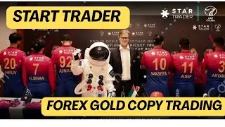Star Trader | Gold Copy Trading | Online Earning Income |