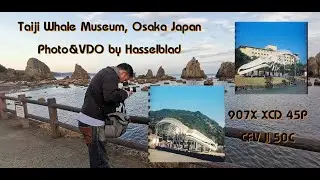Taiji Whale Museum Osaka Japan by Hasselblad