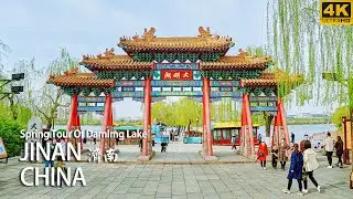 [4K China] Spring Walk Around Daming Lake | Jinan | 春游济南大明湖 | China Walking Tour