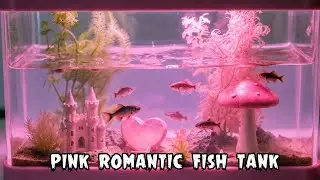 Aesthetic Pink Fish Tank | Romantic Aquarium Setup
