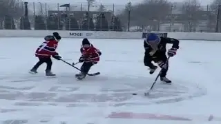 NHL Players vs Regular People