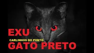 PONTO EXU GATO PRETO NA MAGIA MANDRAQUEIRA DE FORÇA MAIOR