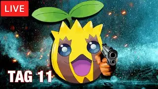 🔴LIVE 11/30 &bull; MIMSU &bull; POK&Eacute;MON RADICAL RED HARDCORE NUZLOCKE &bull; VARIETY GAMES
