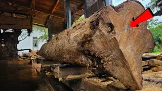 $100 Million Teak Wood Processing | Extreme Lumber Mill Process