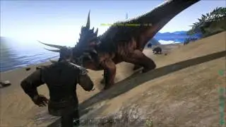 ARK - tribe 