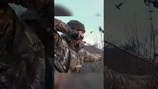 Archery Mule Deer Hunt at 20 yards! #Animals #deer #hunting #canada