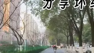 勉县云雾山到留坝社火坪村的公路通不通，我的视频告诉你 #社火坪环路 #随手拍记录生活#汉中周边游 #我的退休生活 #行者日记