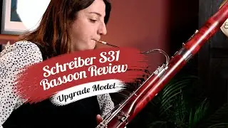 Schreiber S31 Fassoon | Обзор и игровое тестирование