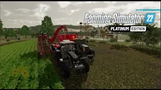 picking red beets with the Fendt 716 Vario | #zielonka | Farming simulator 22 #fs22  #youtube  #6