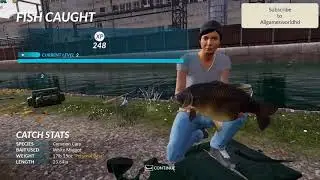 Fishing Sim World Gameplay (PC game).