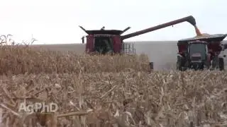 Farm Basics #914 - How Fast Combines Pick Corn (Air Date 10/11/15)