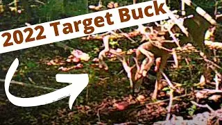 Hunting Public Land 2022  -  Ohio Deer Season Prep
