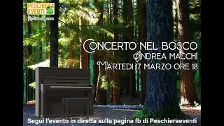 Concerto nel bosco