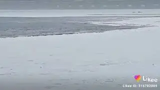 Narora ki video