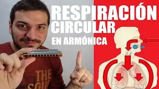 🌬️ RESPIRACIÓN CIRCULAR en ARMONICA? Se puede aplicar está técnica?