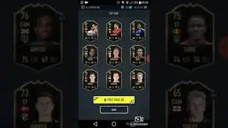 Pacwyn 20 Pack opening