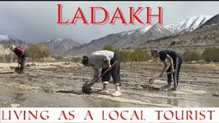 Farming with local people in Ladakh | Ep 1
