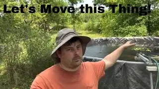 Moving the Koi 