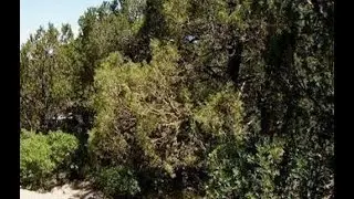 Lots And Land for sale - 27 MEADOWLARK Lane, Sandia Park, NM 87047