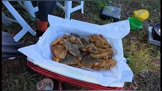Pescaria em Rio Paranápanema na cidade de Primeiro de Maio PR #pesca de caiaque #tucunaré#natureza